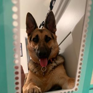 Meet your Posher, Alejandra